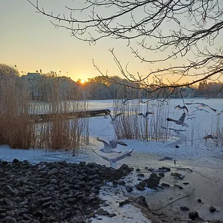 Schloonseevillen, Whg 06 Apartman Heringsdorf