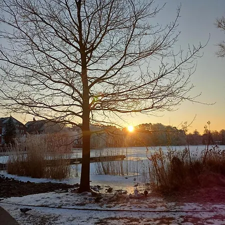 Schloonseevillen, Whg 06 Apartman